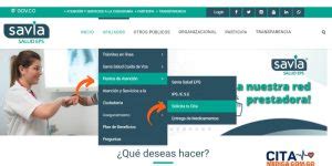 como pedir cita en savia salud por internet|Asignación de citas médicas Servicios e